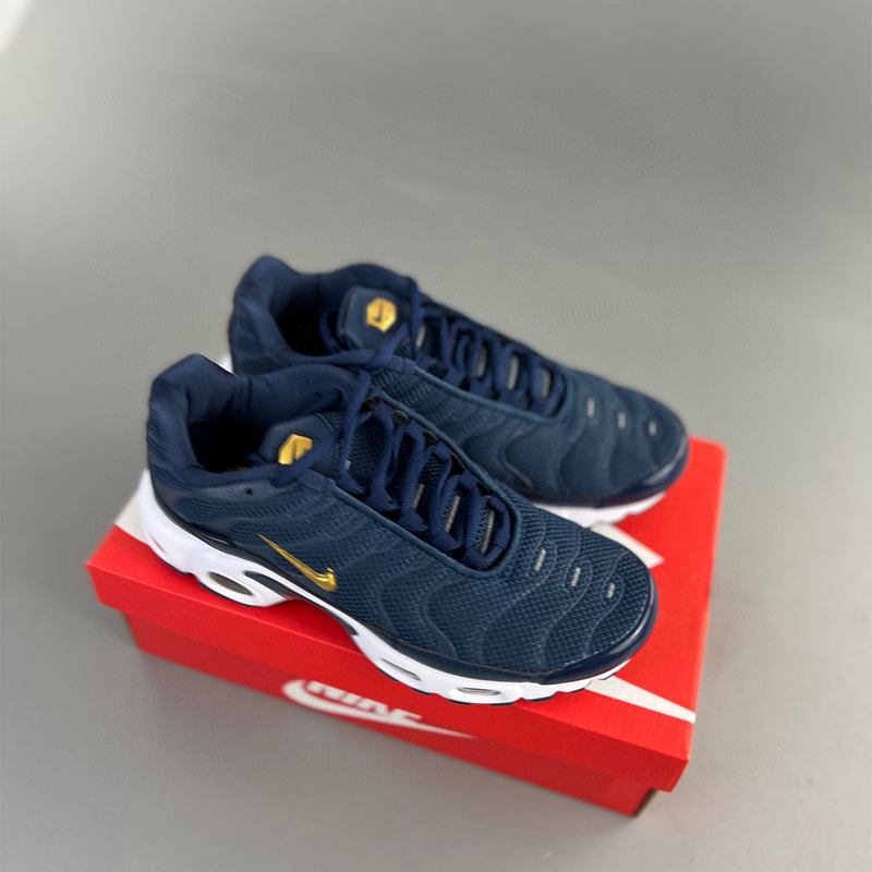 AIR MAX PLUS TN “FRENCH FOOTBALL FEDERATION” - FB3350 400 🇺🇸